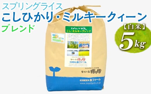 
【新米】スプリングライス こしひかり・ミルキークィーン ブレンド (白米)5kg ※着日指定不可 | 米 こめ コメ 5キロ 精米 白米 ブレンド米 こしひかり コシヒカリ ミルキークイーン みるきーくいーん もちもち 古河市産 茨城県産 取り寄せ お取り寄せ ギフト 贈答 贈り物 プレゼント お中元 お歳暮 茨城県 古河市 直送 農家直送 産地直送 送料無料_BI27
