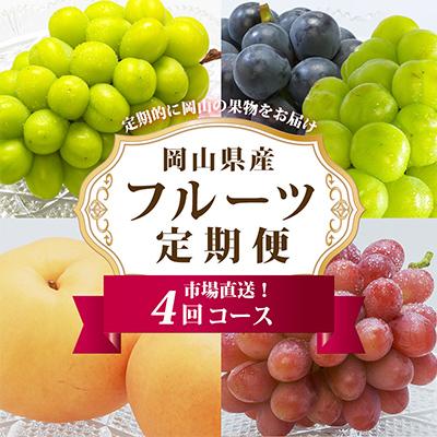 ふるさと納税 岡山市 【発送月固定定期便】岡山県産 フルーツ定期便全4回