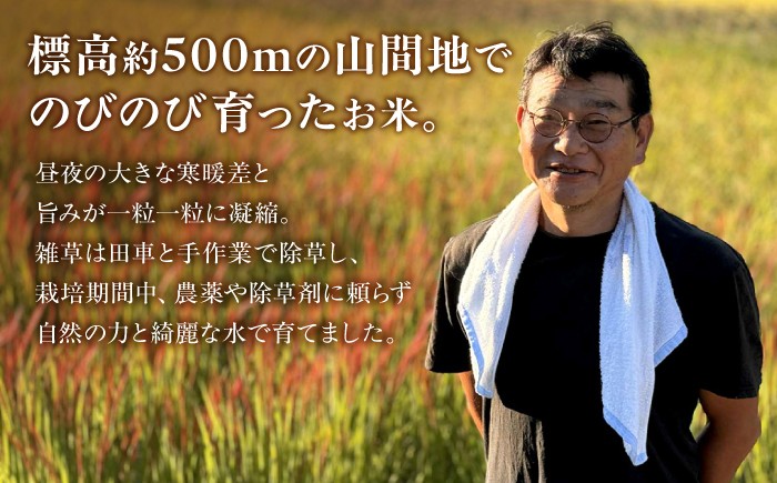標高約500ｍの山間地でのびのびと育てられており、一粒一粒に旨みが凝縮されております。