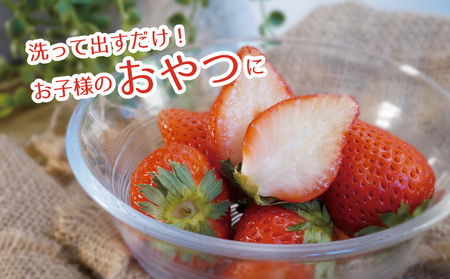 【2026年 先行予約】【湧水のミネラルたっぷり！山梨の夏秋いちご】ご家庭用 200ｇ× 4パック