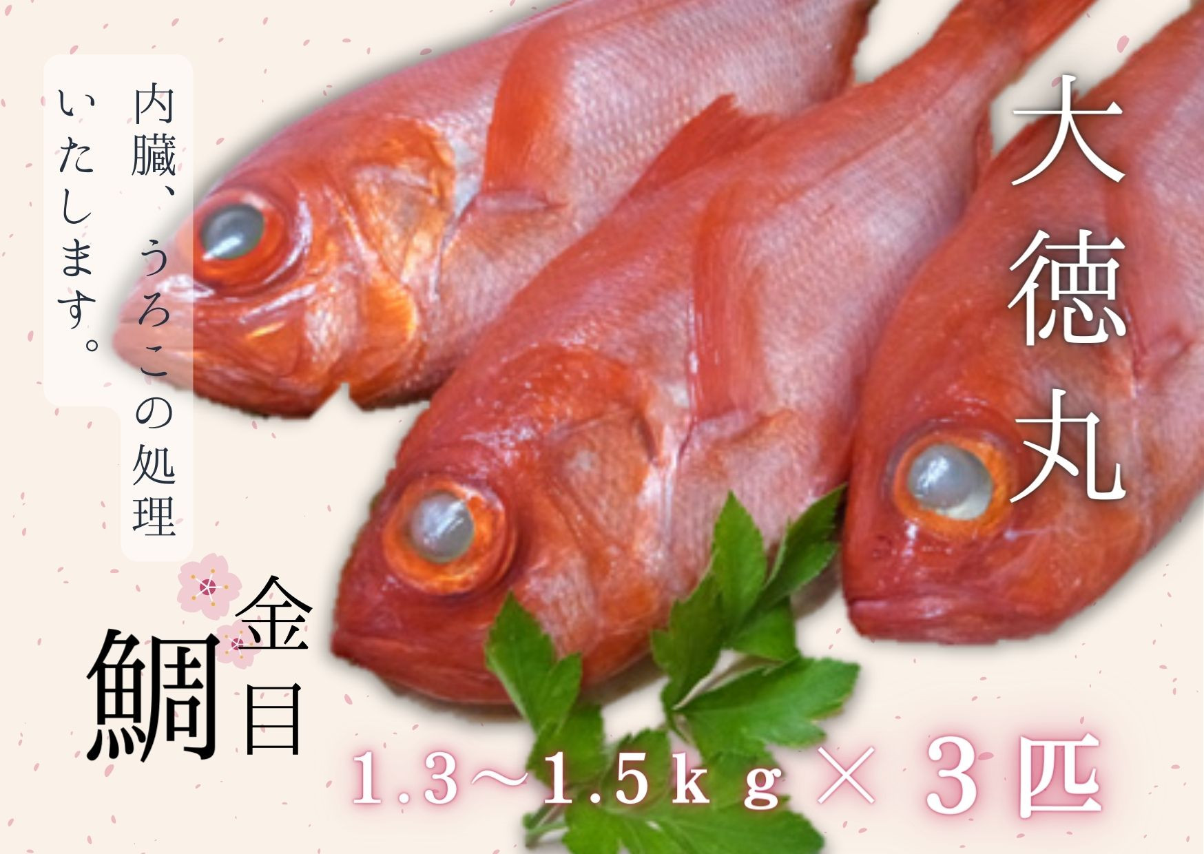 
            【三崎水揚げ】金目鯛3匹セット　M026-004-02
          