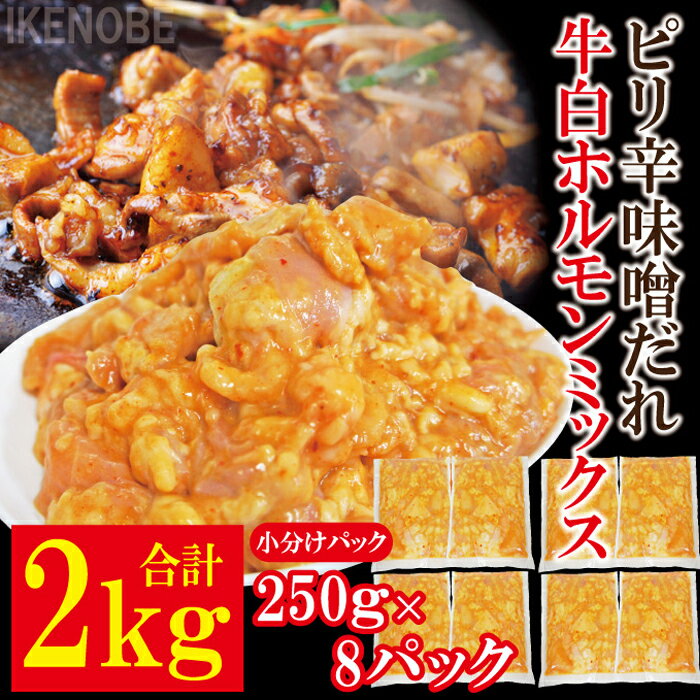 【ふるさと納税】牛白ホルモンミックス ピリ辛味噌だれ 2kg(250g×8パック) 冷凍 小分け ホルモン 味噌 たれ 味付 焼肉 焼き肉 肉 牛 牛肉 おかず おつまみ 【そうざい男しゃく】【ho1599】
