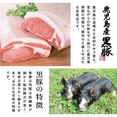ふるさと納税 南さつま市 【鹿児島県産】黒豚の炭焼き焼豚 6本セット 160g×6本 |  | 03