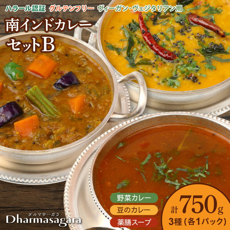 【ふるさと納税】南インドカレー セット 3種 各1パック 計750g カレー ダルマサーガラ 野菜カレー 豆のカレー 薬膳スープ 中辛 野菜 豆 ムングダル 薬膳 酸味 スープ 本場 インドカレー 食品 南インド料理の専門店 冷凍 お取り寄せ 福岡県 久留米市 送料無料