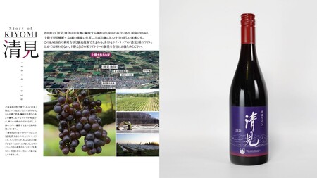 【十勝まきばの家ワイナリー】北海道池田町清見産清見種ワイン2本セット【Story of Kiyomi】