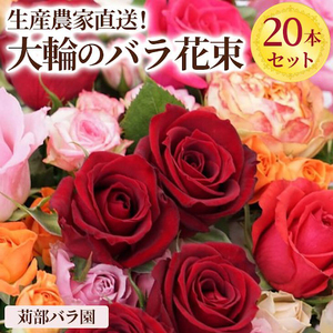 生産農家直送！大輪のバラ花束　20本セット ※沖縄・離島への配送不可  _AL01