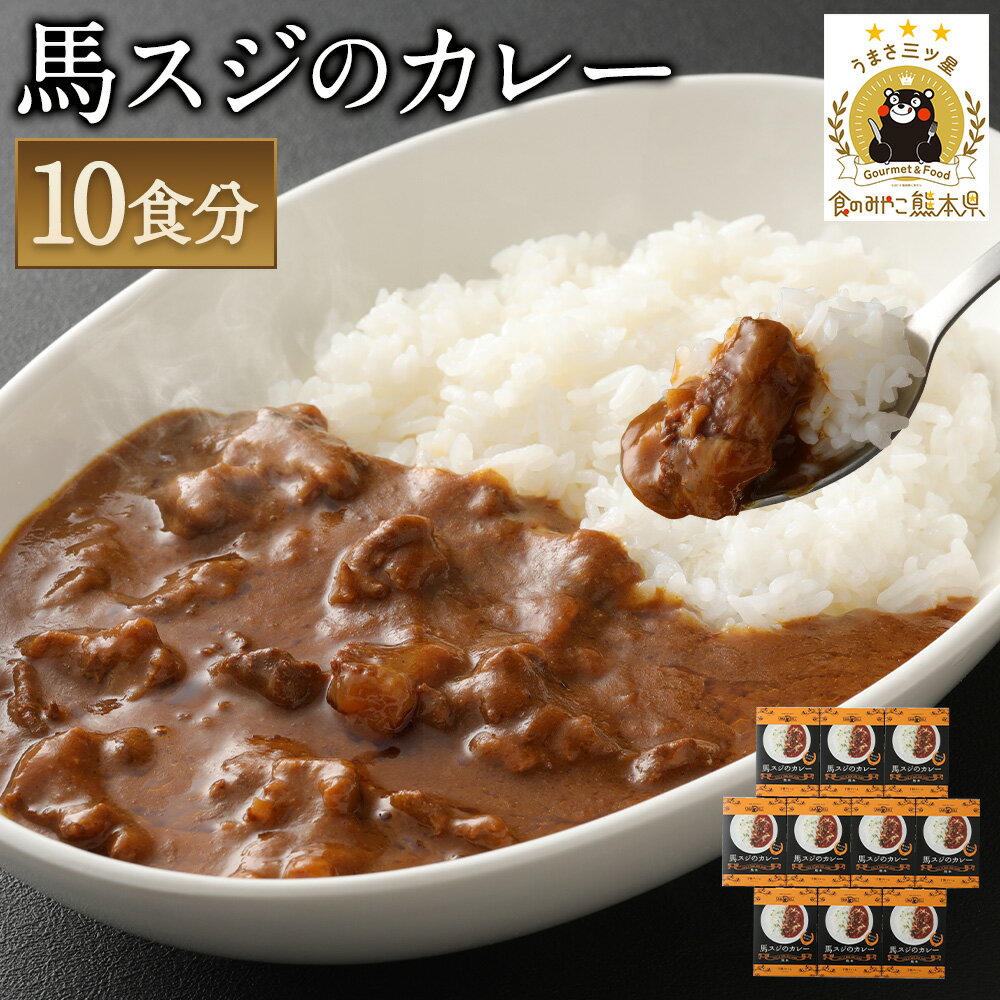 【ふるさと納税】馬スジのカレー 10食セット 合計2.1kg 210g×10個 カレー 菅乃屋 レストラン 千興ファーム レトルト 惣菜 馬すじ 馬肉 保存食 非常食 長期保存 送料無料