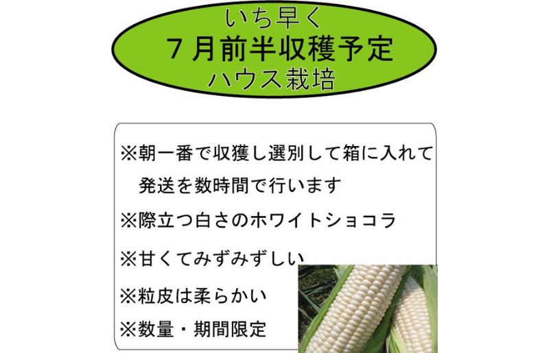 2026年夏発送【数量・期間限定】一足早く7月前半出荷予定 