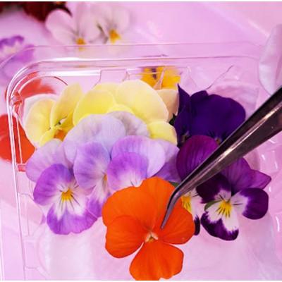 ふるさと納税 播磨町 食用のエディブルフラワー(生花)×3パック・サラダクレソン×1袋【Bセット】 |  | 03