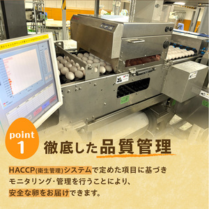 【6回定期便】大平原ファームの新鮮でおいしい卵 計50個(白卵)×6ヶ月【 北海道 清水 卵 300個 こだわり卵 卵かけご飯 玉子 タマゴ 卵焼き TKG 温泉卵 オムレツ ゆでたまご 栄養満点  