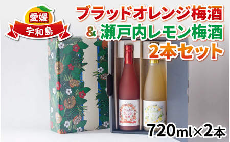 梅酒 飲み比べ ブラッドオレンジ梅酒 瀬戸内レモン梅酒 各1本 おすすめ 全国梅酒品評会2021金賞受賞 名門サカイ 瀬戸内 レモン 檸檬 ブラッド オレンジ 梅 うめしゅ セット 果実酒 柑橘 飲料 お酒 アルコール リキュール フルーツ 果物 国産 愛媛 宇和島 I018-085003