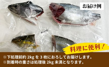 【全4回定期便】旬の地魚セット（3枚卸し）2～3人前 真空パック 魚介 刺身 五島市 / 五島FF [PBJ001]