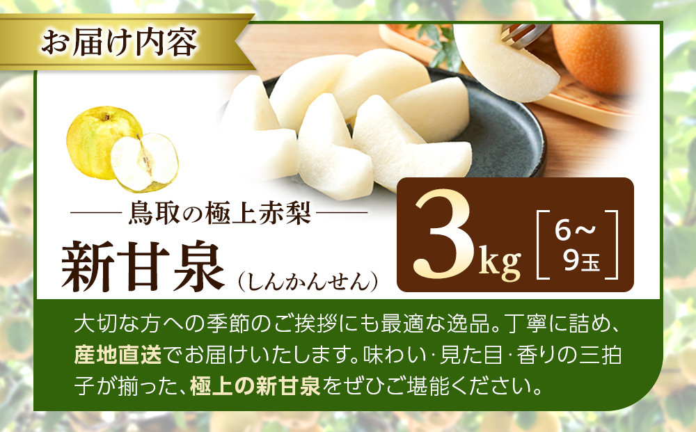 1256.【2026年度発送先行予約】数量限定　新甘泉　3kg