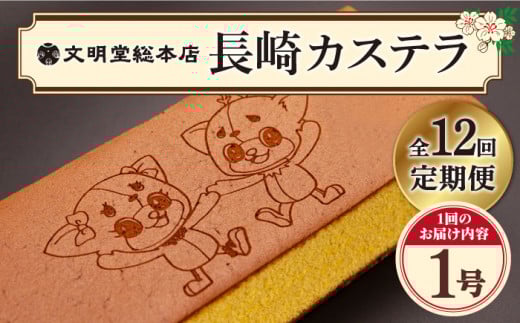 【全12回定期便】 おぢか焼印 特撰 カステラ 580g 1箱 「ちかまるくん」 《文明堂総本店》 [DBF008] かすてら 和菓子 菓子 常温 ギフト 手土産 スイーツ おやつ 卵 ゆるキャラ キャラクター 常温
