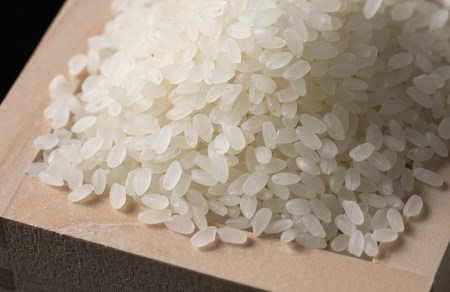 ハツシモ10kg　～水の都大垣の豊富な湧き水で育ったお米 ～