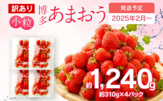 訳あり 小粒あまおう 合計約1240g 約310g×4パック【2025年2月より順次発送】