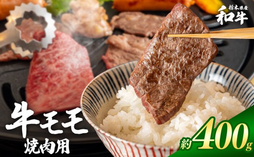 栃木県産和牛 モモ焼き肉 約400g  | 牛肉 和牛 焼き肉 やきにく 焼肉 焼肉用 モモ肉 もも肉 モモ もも 旨味 美味しい 肉 お肉 栃木県共通返礼品 栃木県 真岡市
