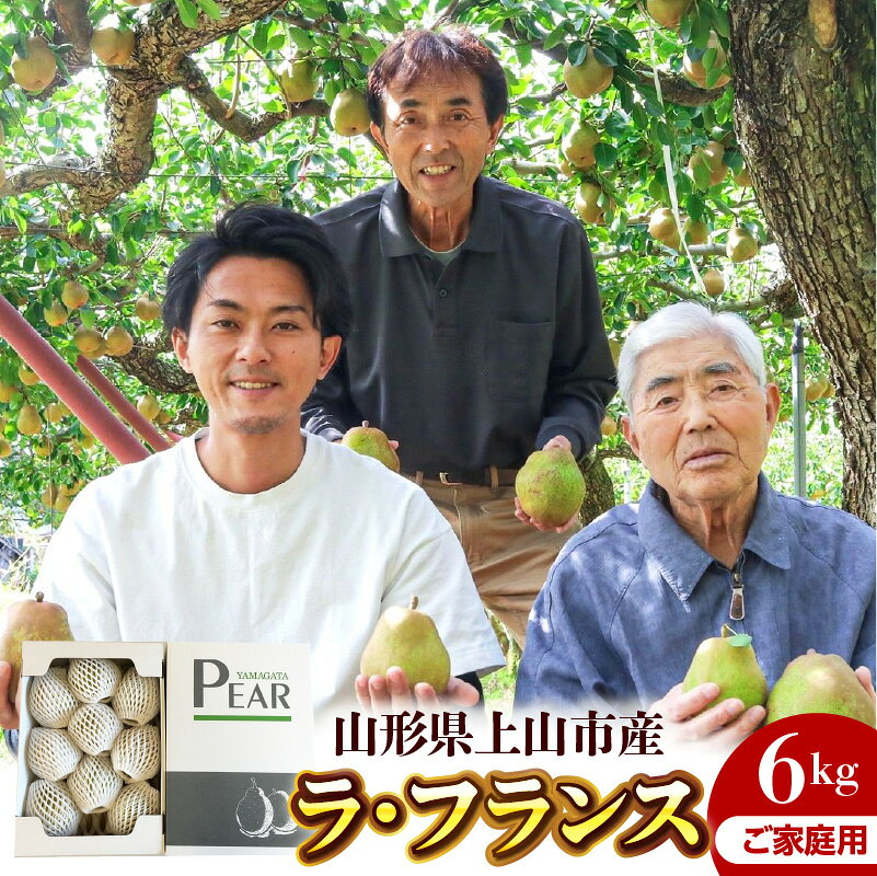 【ふるさと納税】西洋梨 （ ラ・フランス ） 6kg ご家庭用 3kg × 2箱 果物 フルーツ 洋なし お取り寄せ 山形 産地直送 送料無料 山形県 上山市 0078-2614
