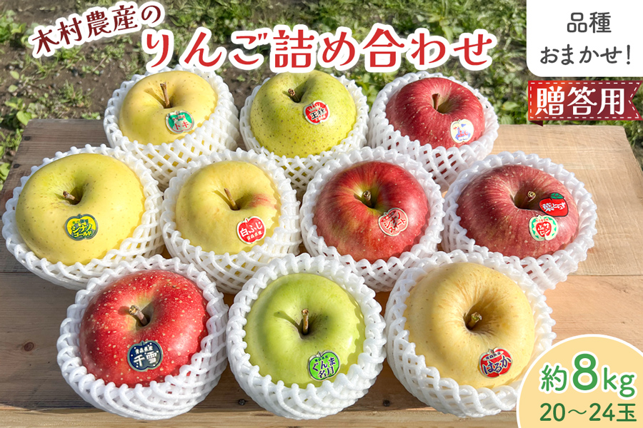 木村農産のりんご詰め合わせ (贈答用) 約8kg (20玉から24玉)｜青森県産 つがる リンゴ 林檎 果物 フルーツ 令和7年産 2025年産 [0910]