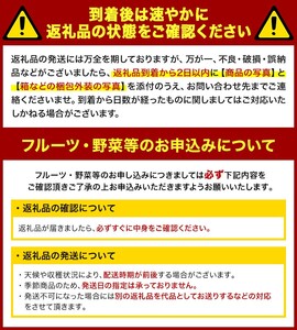 ＜期間限定！2026年5月上旬以降順次発送予定＞生にんにく(約1.5kg) 国産 野菜 生ニンニク 産地直送【man357】【Aglio nero】