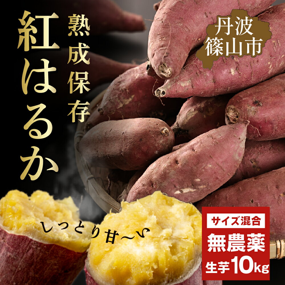 【ふるさと納税】【先行予約】さつま芋　紅はるか 紅はるか 訳あり 規格外 サイズ混合　10kg | 兵庫県 丹波篠山市 さつまいも サツマイモ さつま芋 甘い 焼き芋 焼芋 焼いも 非常食 箱買い 大量 詰め合わせ 国産