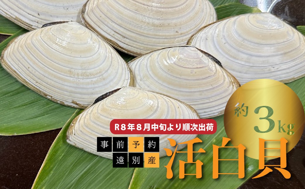 
                  【R８年８月中旬より順次出荷】遠別産　活白貝（約３ｋｇ）
                