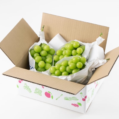 山梨市産「シャインマスカット(種なし)」 約1.5kg (約500g×3房)【配送不可地域：離島・沖縄県】