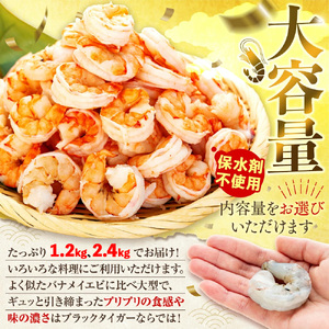 【 えび 】 ブラックタイガー 約2.4kg えび
