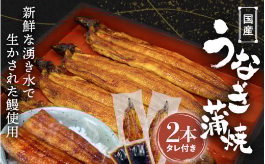 【年内配送】 国産うなぎ蒲焼（２本）タレ付き /  うなぎ 鰻 ウナギ 和歌山 田辺市 国産 国産うなぎ 国産鰻 うなぎ 鰻 鰻丼 うな丼 土用の丑の日【ots016】