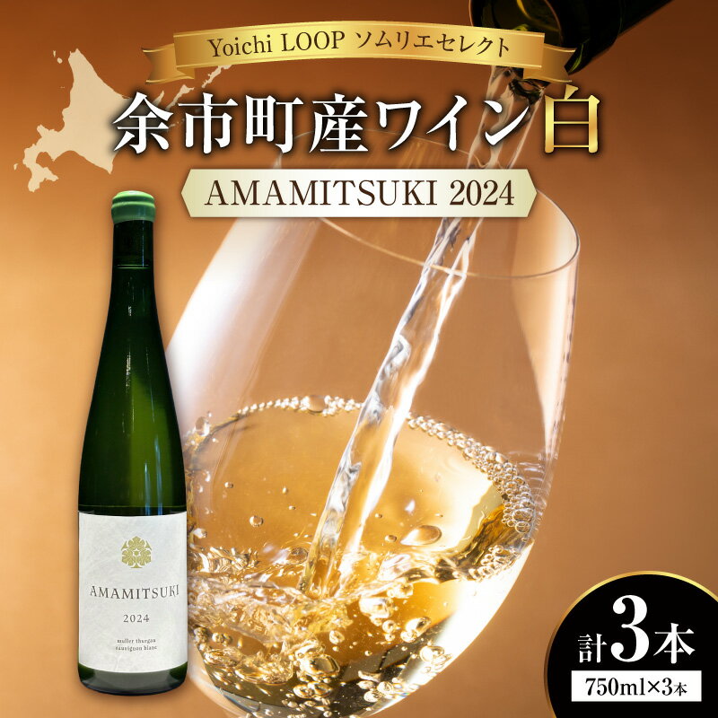 【ふるさと納税】Yoichi LOOP ソムリエセレクト 余市町産ワイン AMAMITSUKI 2024【白】3本セット 北海道 余市町 送料無料