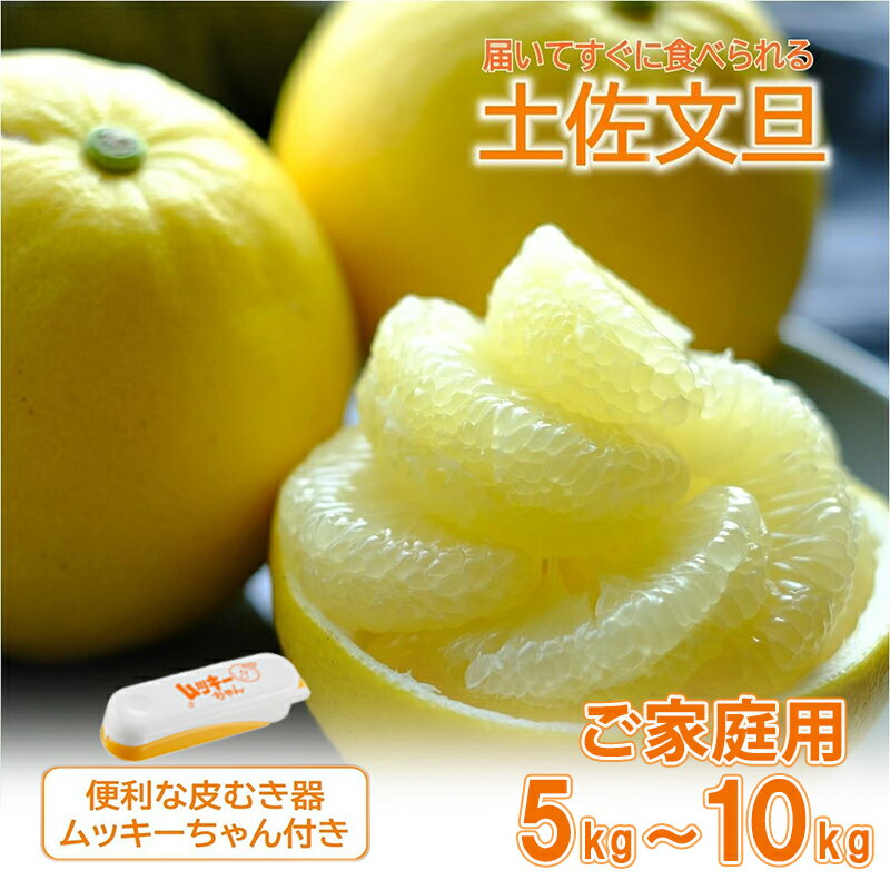 【ふるさと納税】 土佐文旦 5～10kg L〜3L ご家庭用 高知 黒潮町 文旦 ぶんたん 柑橘 フルーツ 果物 文旦10kg 文旦10キロ 文旦5kg 5キロ 家庭用文旦 大玉 小玉 サイズ統一 9〜25個 皮むき器 ムッキーちゃん付き 高知県 黒潮町