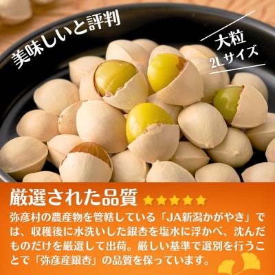 ふるさと納税 弥彦村 【10月末以降発送開始】弥彦村産「ぎんなん」弥彦ギンちゃん 600g 新潟県 おつまみ |  | 02