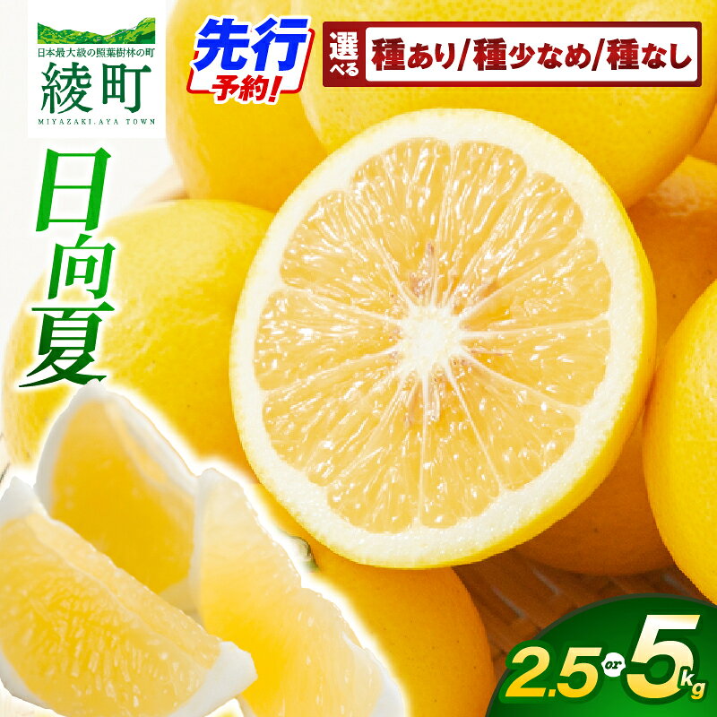 【ふるさと納税】先行予約 《選べる種類・内容量》 初春の旬 日向夏 2.5kg 5kg 果物 フルーツ くだもの 柑橘 種あり 種少なめ 種なし フルーツサンド おやつ スイーツ デザート ジャム おすすめ ギフト 贈り物 贈答 プレゼント おすそ分け お返し 宮崎県 綾町 送料無料