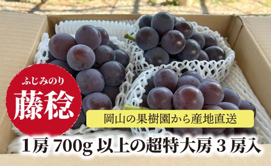 
            KF-B058-01【きよとうファーム】数量限定！大粒で超特大の藤稔３房入/1房700g以上 (岡山県産)
          