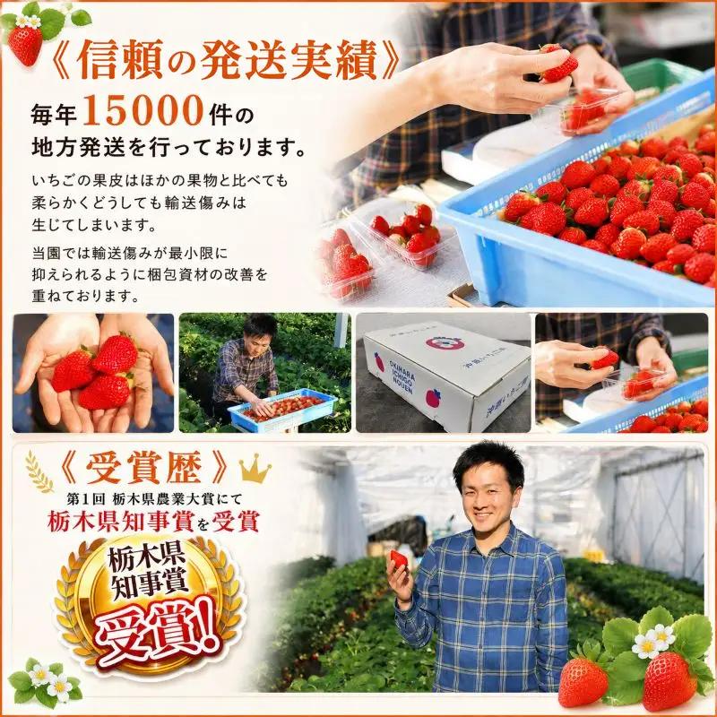訳あり 粒不揃い とちあいか 1,120g (280g×4P) | 栃木県共通返礼品 矢板市産 いちご 果物 フルーツ 栃木県下野市