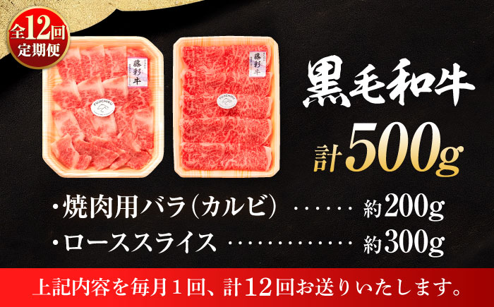 【全12回定期便】くまもと黒毛和牛「藤彩牛」2種の食べ比べ計500g 3900【株式会社フジチク】 [BHAD038]