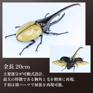 模型 昆虫 自由研究シリーズセット ヘラクレスオオカブト カブトムシ 2セット| 模型模型模型 プラモデルプラモデル