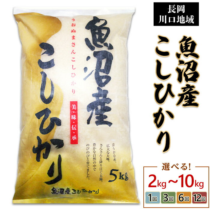 【ふるさと納税】令和7年産 米 定期便 2kg 5kg 10kg（5kg×2袋）魚沼 新潟 コシヒカリ 選べる 1回 3回 6回 12回 3ヶ月 6ヶ月 12ヶ月 新潟こしひかり 精米 白米 お米 新潟県魚沼産コシヒカリ（長岡川口地域）（越後農産）