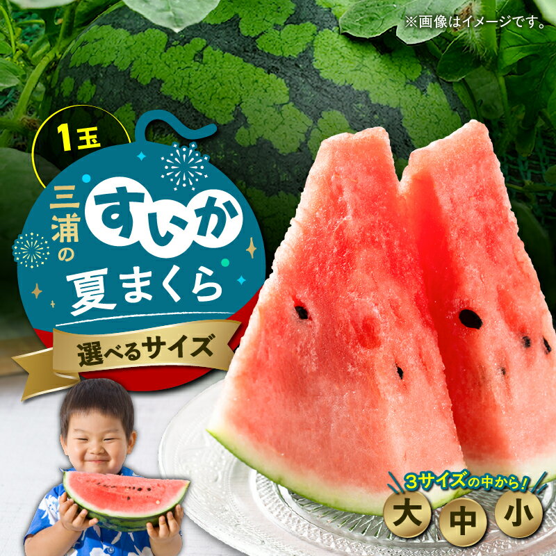 【ふるさと納税】＜選べる＞ 三浦のスイカ 夏まくら 大玉 中玉 小玉 スイカ すいか 西瓜 フルーツ 果物 果実 ジューシー 甘い 夏季 数量 期間 限定 おいしい デザート 国産 旬の果物 贈答 高糖度 三浦すいか 西崎商店 神奈川 三浦市 おすすめ ランキング プレゼント ギフト