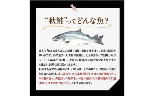 【12月発送】北海道産 いくら（鮭卵）醤油漬け 大容量500g(250g×2パック) 国産 小分けパック イクラ 海鮮丼 ギフト 贈り物 魚介類 魚介 海産物 鮭 シャケ しゃけ 生産者 支援 応援