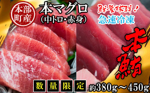 
【数量限定】　本部町産　本マグロ（中トロ・赤身）セット 　約380g～450g
