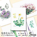 【ふるさと納税】 絵葉書 はがき オリジナル 5枚 ハガキ 可愛い ギフト 花 植物ポストカード セット 絵はがき 挨拶 手紙 ふるさと納税 北海道 中頓別町