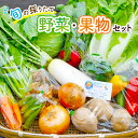 【ふるさと納税】野菜セット 旬の採りたて 野菜 フルーツ 詰め合わせ セット 野菜詰め合わせ フルーツ詰め合わせ フルーツセット 季節の野菜 季節の果物 くだもの 果物 果樹 神奈川　【 野菜詰め合わせ フルーツ 果物 詰め合わせ 】