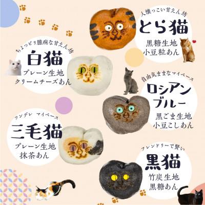 ふるさと納税 高山市 招福猫子まんじゅう5個入　TR4189 |  | 01