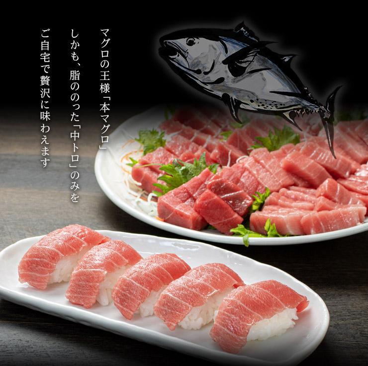 【定期便/隔月/計3回】本マグロ訳あり中トロ700g（計2.1kg）【DG008-tk3】|いわき市 ふるさと納税 株式会社東日本貿易 鮪 本鮪 本まぐろ マグロ トロ とろ 刺し身 さしみ さかな 