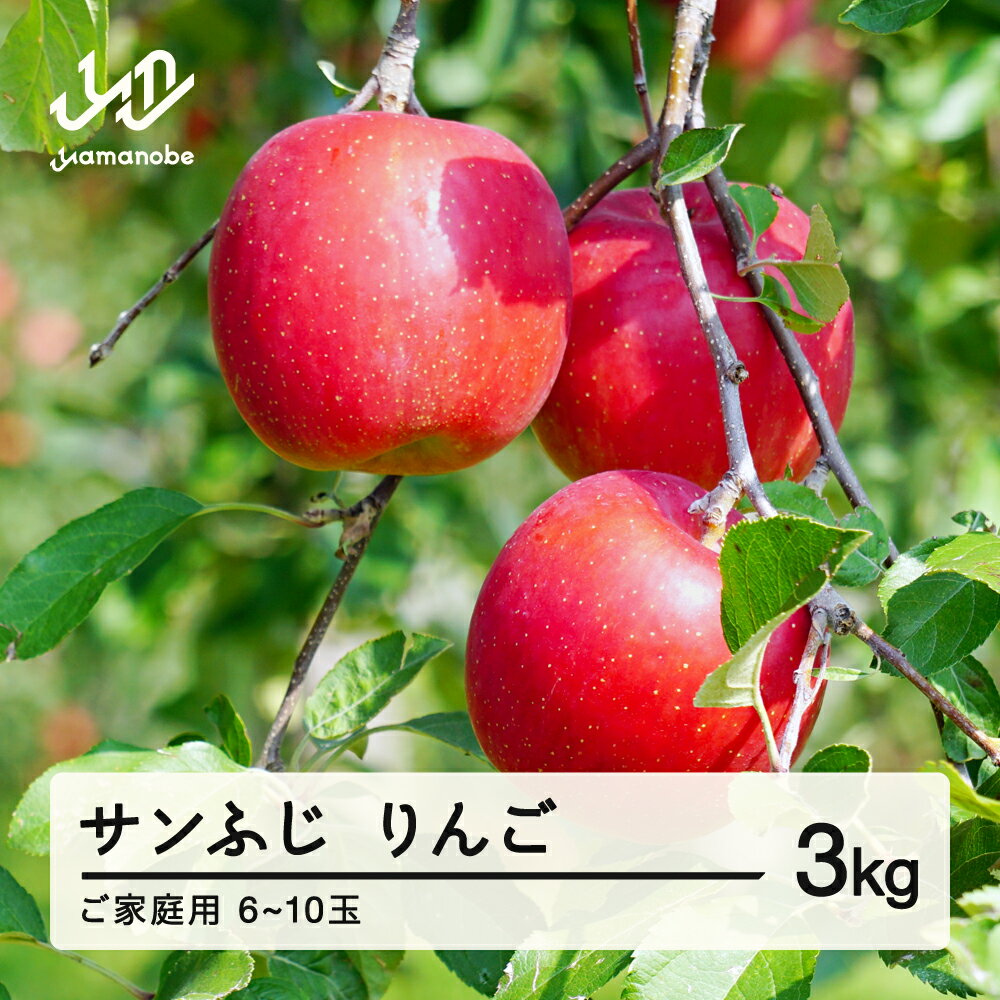 【ふるさと納税】 先行予約 ご家庭用 2025年 令和7年産 山形県産 ご家庭用 サンふじ りんご 3kg(6~10玉) 送料無料 yf-risfk3