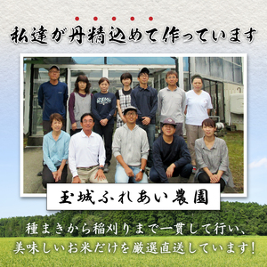 【先行予約】令和6年産米 三重県産コシヒカリ10kg 新嘗祭皇室献上米農家（お米 米 白米 コシヒカリ 玉城町コシヒカリ 令和6年コシヒカリ こだわりコシヒカリ）