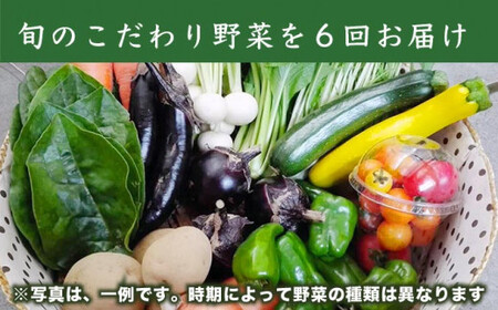［年6回定期便］ 農薬・化学肥料を使わずに栽培した野菜年6回定期便 OBUSE Meguru 野菜セット シーズンコース［おぶせファーマーズ］おまかせ 野菜 やさい 詰め合わせ 8～12種類 長野 信