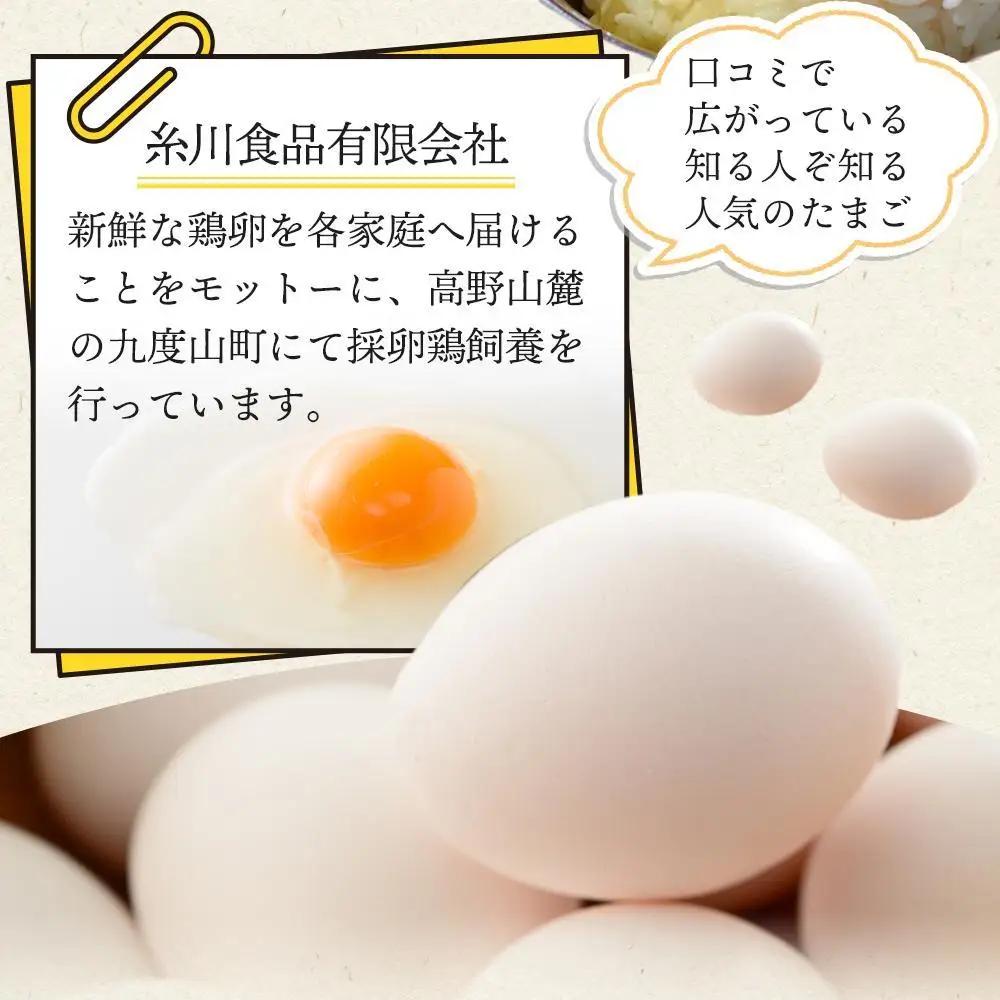 アルカリ化 玉子 紀州地養卵 合計 50個入 (40個＋割れ補償分10個）卵 たまご 玉子 タマゴ 鶏卵 まとめ買い オムレツ 卵かけご飯 朝食 業務用