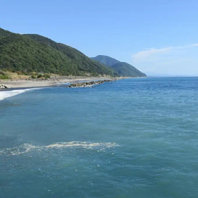 活き 伊勢海老 4～10尾 2kg 伊勢海老